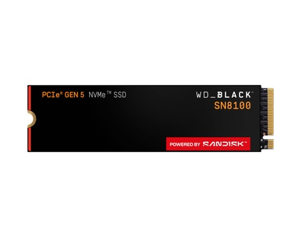 WD SN8100 w/o HS 1TB (S100T1X0M)