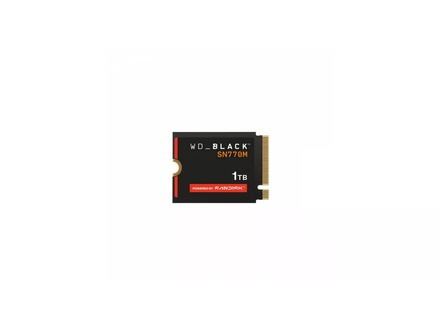 WD Wd 1TB M.2 2230 PCIe Gen4 NVMe SN770M (S100T3X0G)