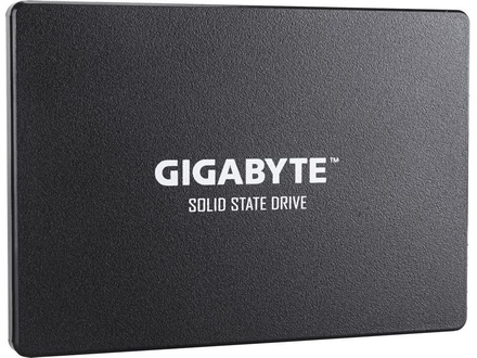 Gigabyte 1TB 2,5'' GP-GSTFS31100TNTD