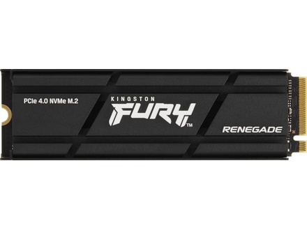 Kingston FURY Renegade 1000 GB M.2 (SFYRSK1000G)