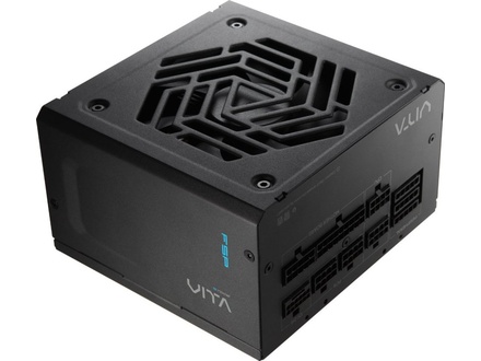FSP /Fortron Vita Gm 1000W 80 Plus Gold (PPA10A4002)