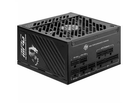 MSI MPG AGS 1250W 80 Puls Gold ATX 3.1 (3067ZPFX11CE0)